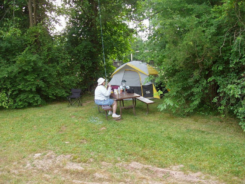 image66